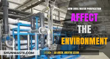Water Purification's Environmental Impact: Benefits, Challenges, and Sustainability Solutions