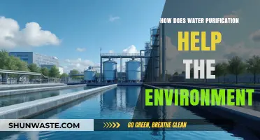 Water Purification: A Sustainable Solution for Environmental Conservation and Health