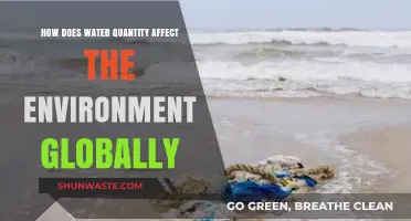 Water Quantity's Global Impact: Environmental Consequences and Sustainability Challenges