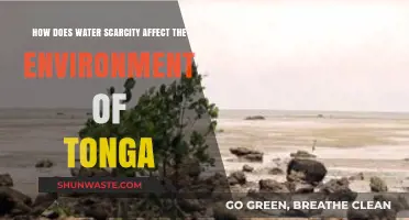 Water Scarcity in Tonga: Environmental Impacts and Ecosystem Challenges