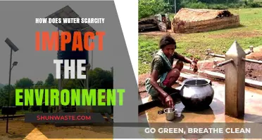 Water Scarcity's Devastating Effects on Ecosystems and Environmental Balance