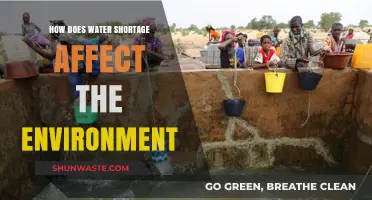 Water Scarcity's Devastating Impact on Ecosystems and Environmental Balance