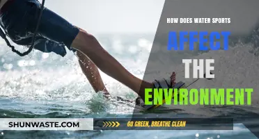 Water Sports' Environmental Impact: Balancing Adventure with Ecosystem Preservation