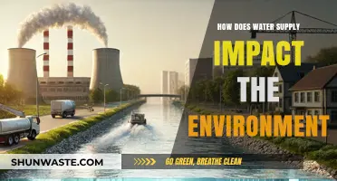 Water Supply's Environmental Impact: Sustainability, Ecosystems, and Climate Change