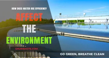 Water Use Efficiency: Environmental Impact and Sustainable Practices Explained
