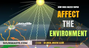 Water Vapor's Environmental Impact: Climate, Weather, and Ecosystem Effects