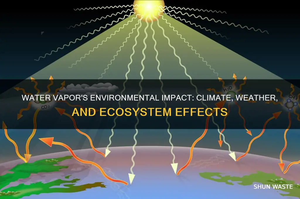 how does water vapor affect the environment