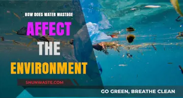 Water Wastage's Devastating Impact: Environmental Consequences and Sustainable Solutions