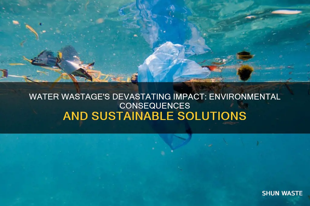how does water wastage affect the environment