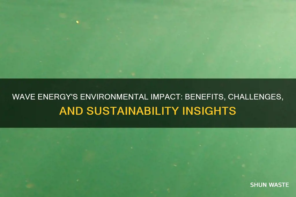 how does wave energy affect the environment