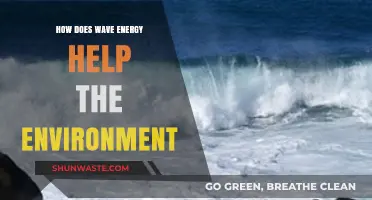 Wave Energy: A Sustainable Solution for Environmental Conservation and Renewal