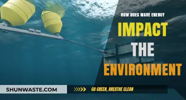 Wave Energy's Environmental Impact: Benefits, Challenges, and Sustainability Insights
