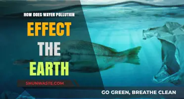 Water Pollution: A Global Crisis and Its Impact