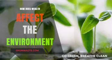 Wealth's Environmental Impact: Exploring the Ecological Cost of Prosperity