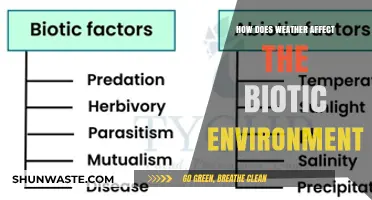 Weather's Impact: Shaping Ecosystems and Biotic Interactions in Nature