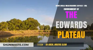 Weathering's Impact on Edwards Plateau's Unique Environment and Ecosystems