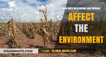 Weathering and Erosion: Shaping Landscapes and Impacting Ecosystems