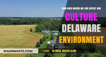 Delaware's Environment: Shaping Culture, Identity, and Community Life