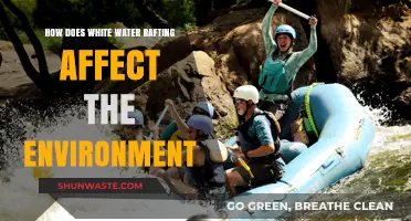 White Water Rafting's Environmental Impact: Balancing Adventure and Conservation