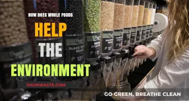 Whole Foods: Sustainable Choices for a Greener, Healthier Planet