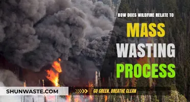 Wildfires Triggering Mass Wasting: Understanding the Destructive Connection