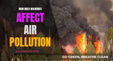 Wildfires' Impact: Air Pollution and Quality Concerns