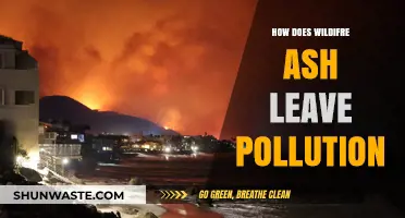 Wildfire Ash: A Lingering Pollution Problem