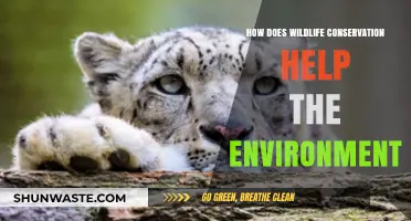 Wildlife Conservation: Protecting Ecosystems, Preserving Biodiversity, and Sustaining Our Planet