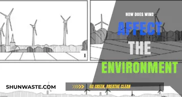 Wind's Environmental Impact: Shaping Ecosystems, Climate, and Renewable Energy