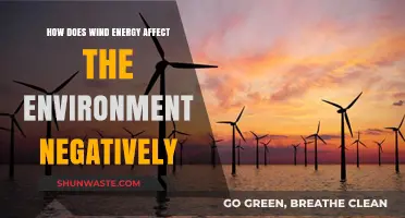 Wind Energy's Environmental Impact: Uncovering Negative Effects and Challenges