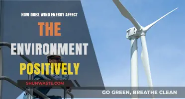 Wind Energy's Positive Environmental Impact: Clean Power, Sustainable Future