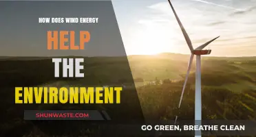 Wind Energy's Environmental Impact: Clean Power for a Sustainable Future