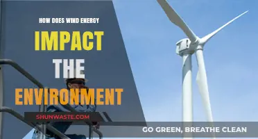 Wind Energy's Environmental Impact: Benefits, Challenges, and Sustainability Insights