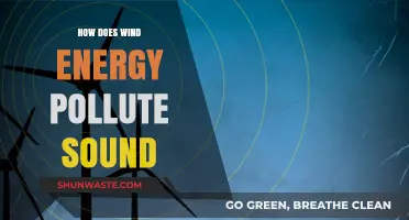 Wind Energy's Dark Side: Sound Pollution