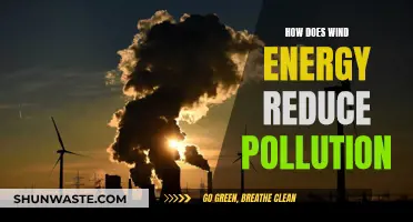 Wind Power: Pollution Solution