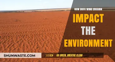 Wind Erosion's Environmental Impact: Shaping Landscapes and Ecosystems
