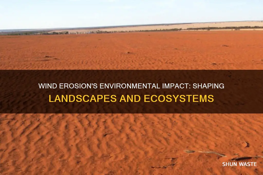 how does wind erosion impact the environment