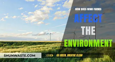 Wind Farms and the Environment: Impacts, Benefits, and Sustainability