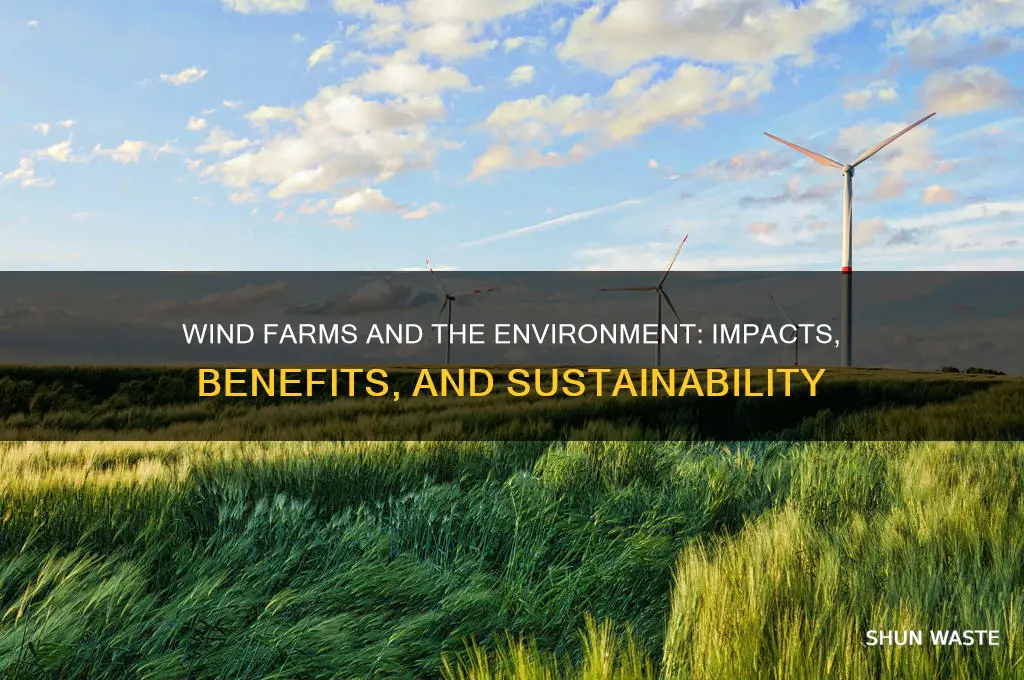 how does wind farms affect the environment