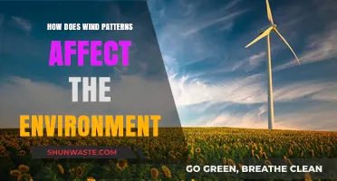 Wind's Environmental Impact: Shaping Ecosystems and Climate Dynamics