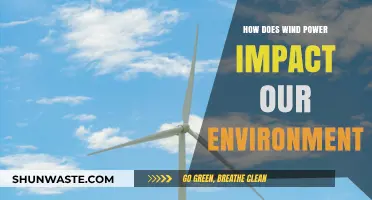Wind Power's Environmental Impact: Benefits, Challenges, and Sustainability Insights