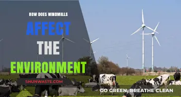 Windmills and the Environment: Impacts, Benefits, and Sustainability Explained