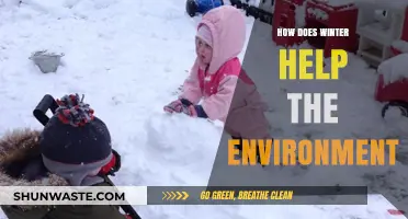 Winter's Vital Role: Environmental Benefits of the Cold Season