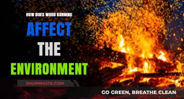 Wood Burning's Environmental Impact: Air Quality, Climate, and Ecosystems