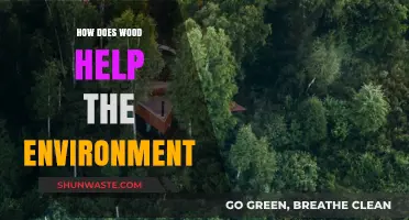 Wood's Eco-Friendly Impact: Sustainable Benefits for a Greener Environment
