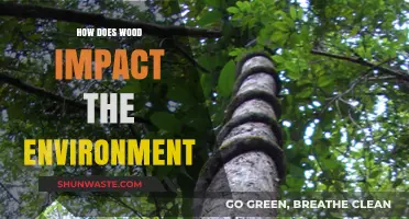 Wood's Environmental Impact: Sustainability, Deforestation, and Climate Change Explained