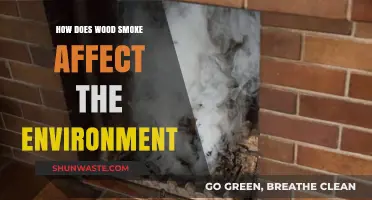 Wood Smoke's Environmental Impact: Air Quality, Climate, and Health Concerns