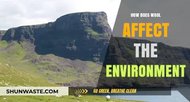 Wool's Environmental Impact: Sustainability, Carbon Footprint, and Eco-Friendly Practices