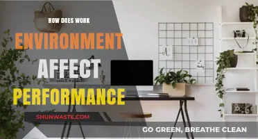 Work Environment Impact: Boosting or Hindering Employee Performance?