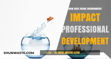 Work Environment's Role in Shaping Professional Growth and Success